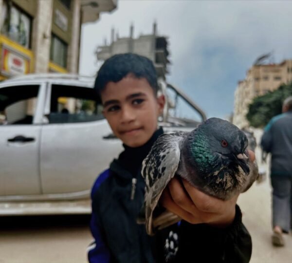 صورة أرشيفية توضيحية من قطاع غزة، لا توثق الواقعة الواردة بالمقال