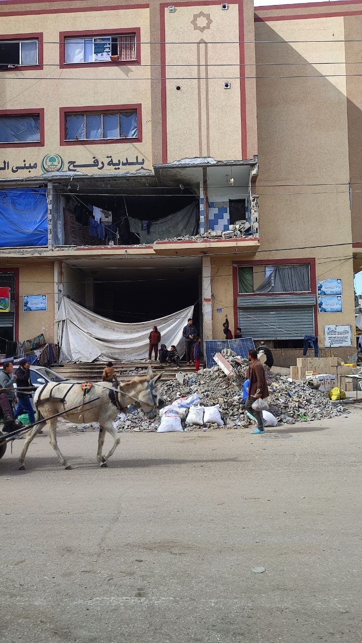 صورة أرشيفية توضيحية من قطاع غزة، لا توثق الواقعة الواردة بالمقال